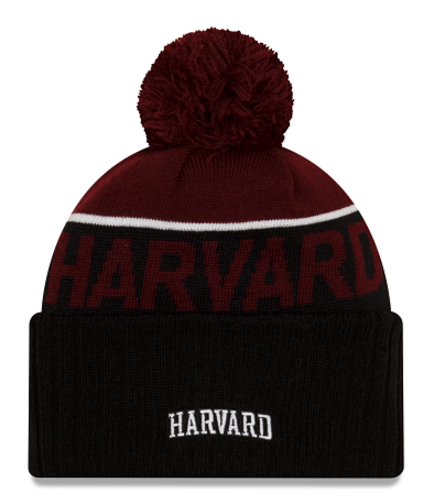 人気【New Era】 Harvard H Ribbed Beanie New Era Harvard H Ribbed Beanie | PacSun