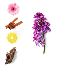 Load image into Gallery viewer, Salvo Intense Eau De Parfum Spray by Maison Alhambra 3.4 Fl.Oz./100ml