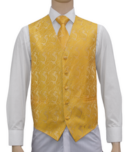 Load image into Gallery viewer, Men's Microfiber Paisley Vest, Tie, and Hanky Set in 45 Colors # 20
