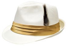 Load image into Gallery viewer, The Vincent Fedora Style Hat by Bently in 23 Colors