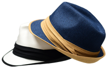 Load image into Gallery viewer, Rico Fedora Hat by Bently