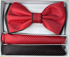 Load image into Gallery viewer, Two Tone Double Layered Pre-Tied Bow Tie with Two Hankies # BT2T101