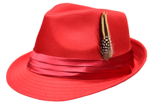 Load image into Gallery viewer, The Vincent Fedora Style Hat by Bently in 23 Colors
