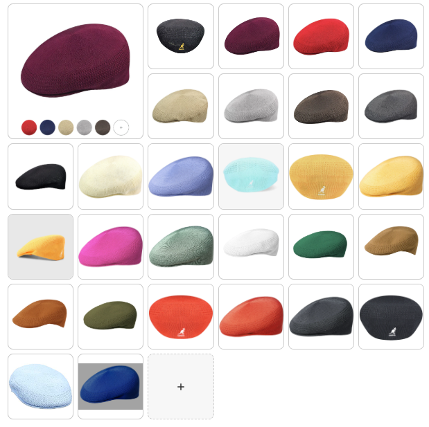 Kangol Tropic 504 Vent Air Ivy Cap in 38 Colors