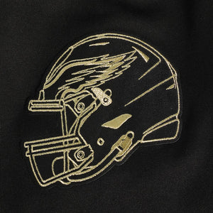 Philadelphia Eagles Black & Gold Pro Standard Hoodie