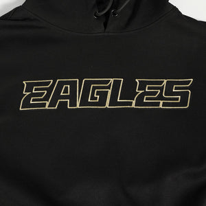 Philadelphia Eagles Black & Gold Pro Standard Hoodie