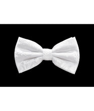 Load image into Gallery viewer, Paisley Design Bow Tie &amp; Pocket Square Hanky in 45 Colors # BT600