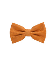 Load image into Gallery viewer, Paisley Design Bow Tie &amp; Pocket Square Hanky in 45 Colors # BT600