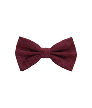 Load image into Gallery viewer, Paisley Design Bow Tie &amp; Pocket Square Hanky in 45 Colors # BT600
