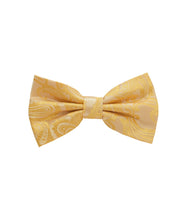 Load image into Gallery viewer, Paisley Design Bow Tie &amp; Pocket Square Hanky in 45 Colors # BT600