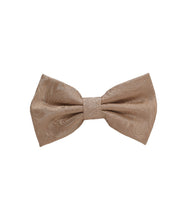 Load image into Gallery viewer, Paisley Design Bow Tie &amp; Pocket Square Hanky in 45 Colors # BT600