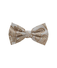Load image into Gallery viewer, Paisley Design Bow Tie &amp; Pocket Square Hanky in 45 Colors # BT600