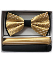 Load image into Gallery viewer, Two Tone Double Layered Pre-Tied Bow Tie with Two Hankies # BT2T108