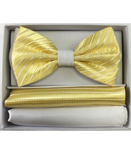Load image into Gallery viewer, Two Tone Double Layered Pre-Tied Bow Tie with Two Hankies # BT2T108