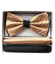 Load image into Gallery viewer, Two Tone Double Layered Pre-Tied Bow Tie with Two Hankies # BT2T108