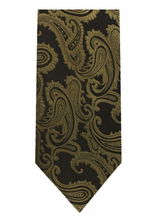 Load image into Gallery viewer, Paisley Tie &amp; Pocket Square Set # 600