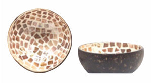 Coconut Shell Mother of Pearl Bowl