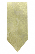 Load image into Gallery viewer, Men&#39;s Microfiber Paisley Tie and Hanky (Basic Colors)