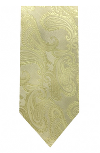 Men's Microfiber Paisley Tie and Hanky (Basic Colors)