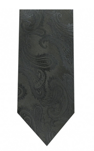 Men's Microfiber Paisley Tie and Hanky (Basic Colors)