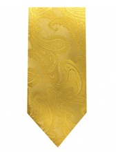Load image into Gallery viewer, Men&#39;s Microfiber Paisley Tie (Gold Variations)