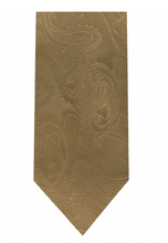 Load image into Gallery viewer, Men&#39;s Microfiber Paisley Tie (Gold Variations)