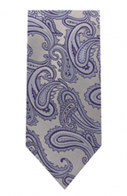 Load image into Gallery viewer, Microfiber Paisley Tie (More Blue Variations)