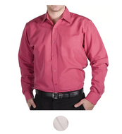 Long Sleeve Regular Fit Dress Shirt